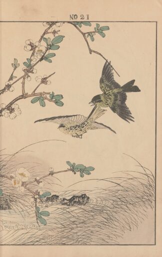 Keinen kachō gafu Pl.068 by Imao Keinen
