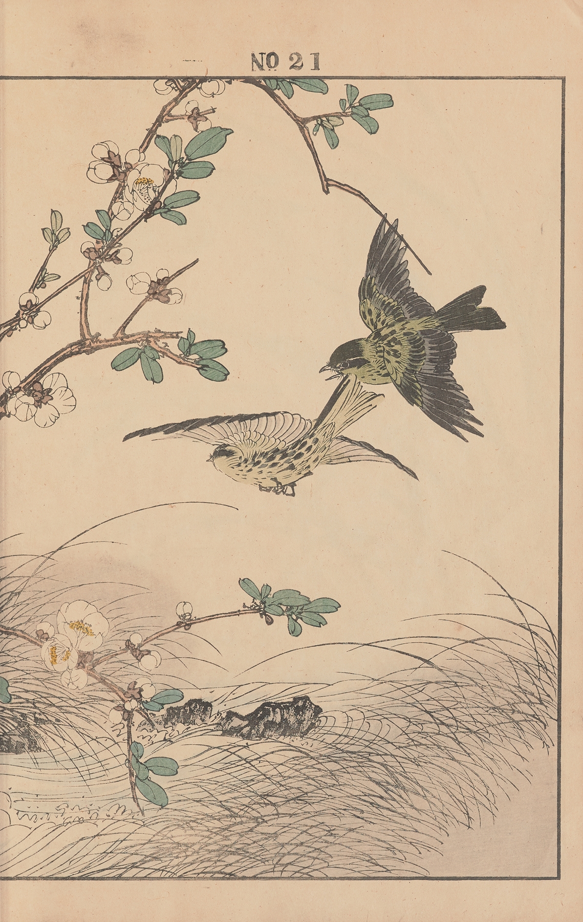 Keinen kachō gafu Pl.068 by Imao Keinen