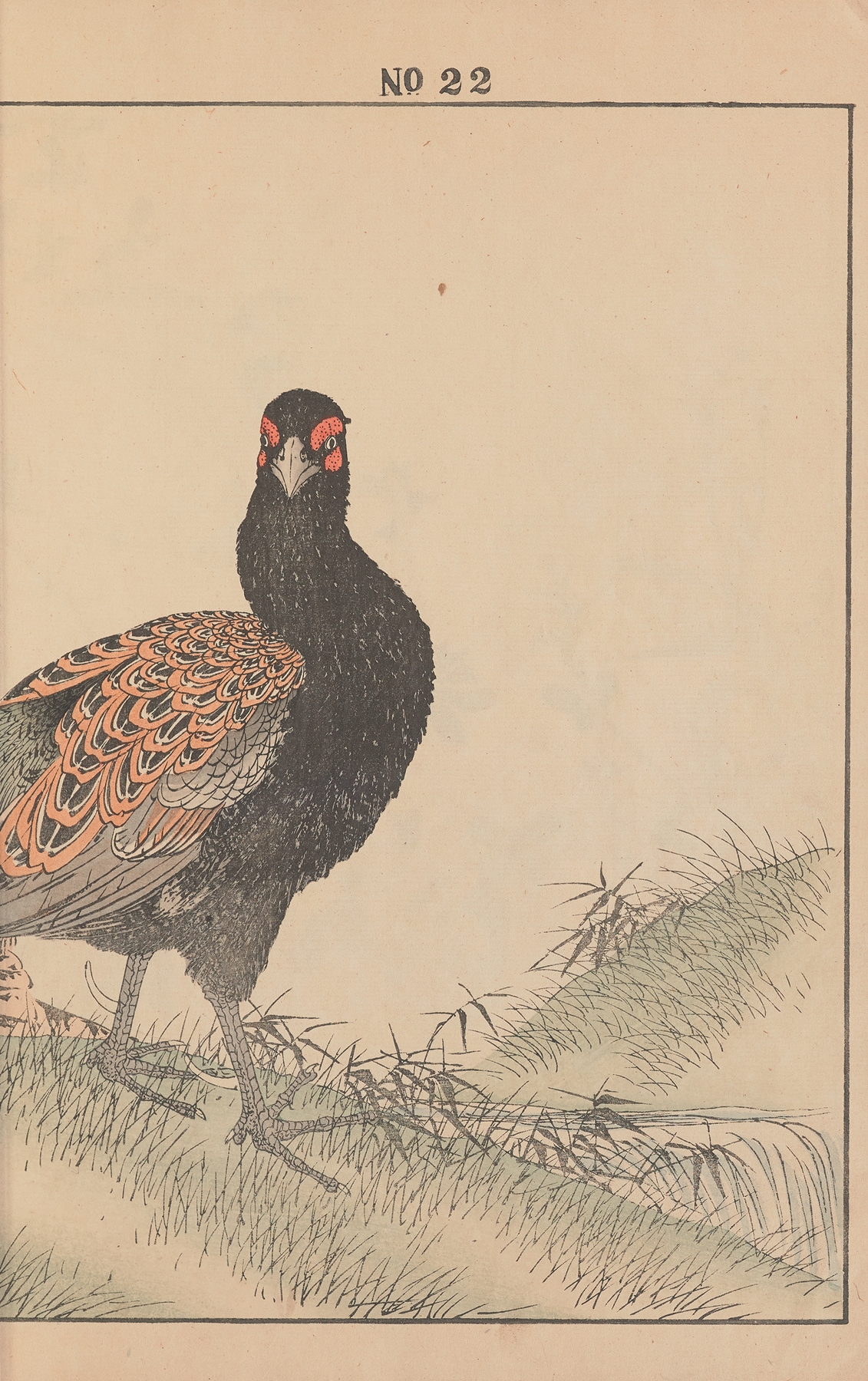 Keinen kachō gafu Pl.070 by Imao Keinen