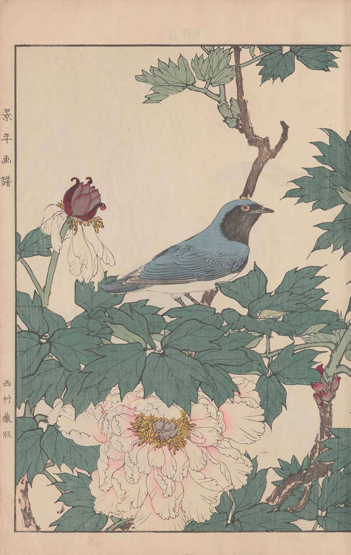 Keinen kachō gafu Pl.085 by Imao Keinen
