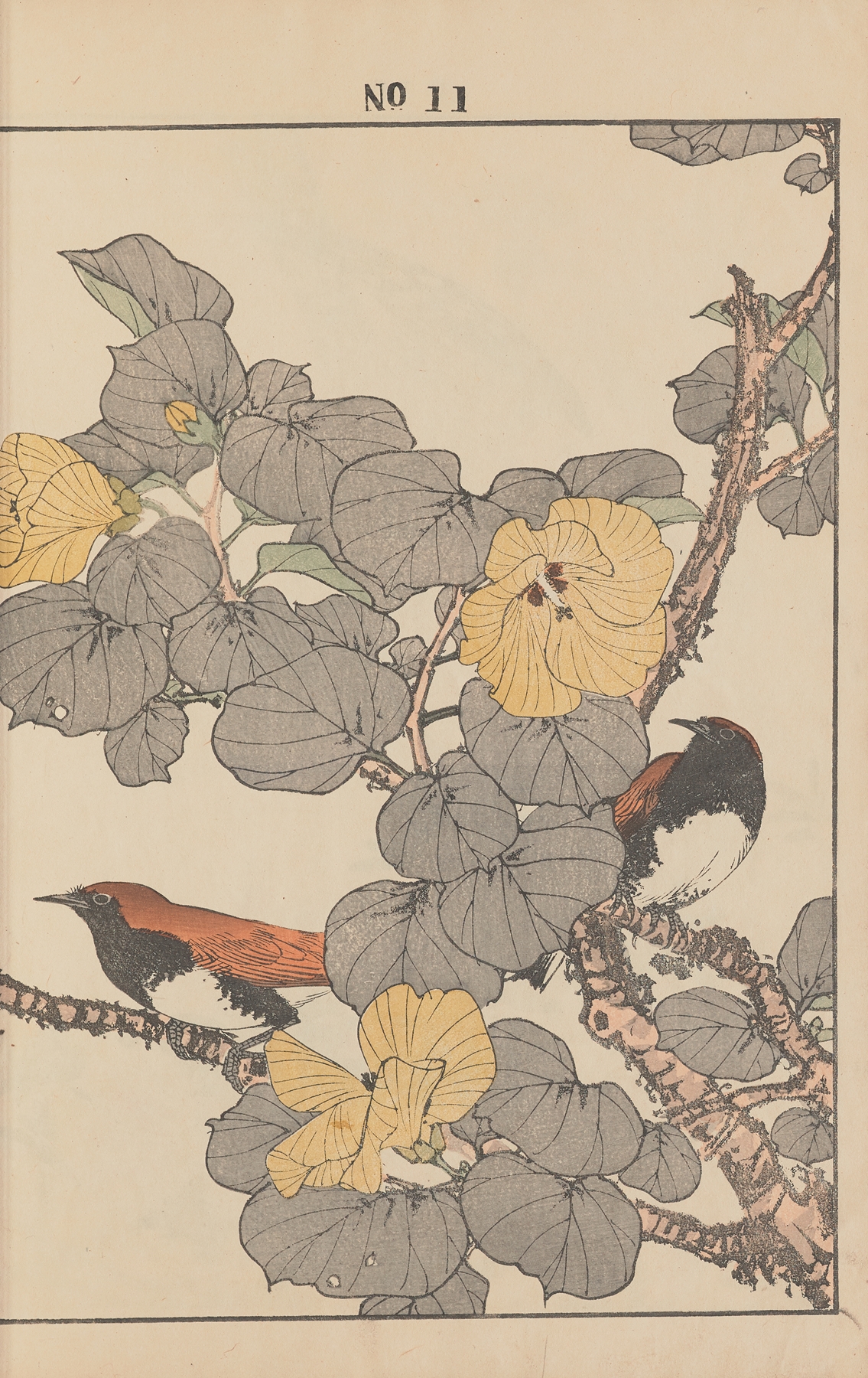 Keinen kachō gafu Pl.096 by Imao Keinen