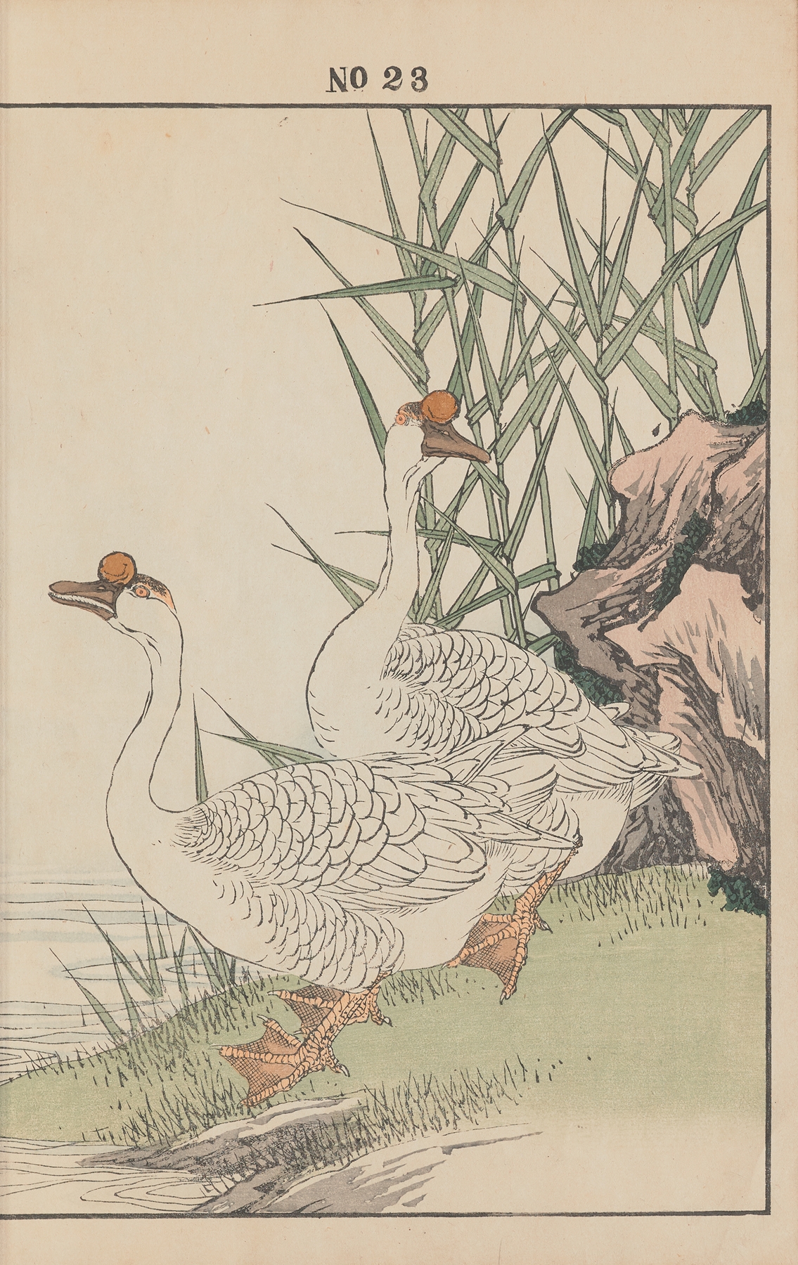 Keinen kachō gafu Pl.112 by Imao Keinen