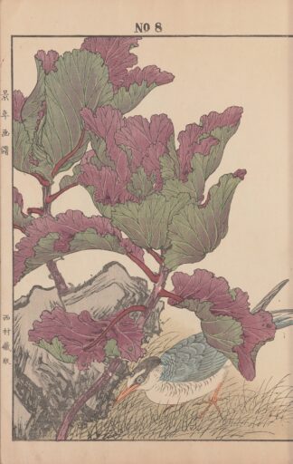 Keinen kachō gafu Pl.131 by Imao Keinen