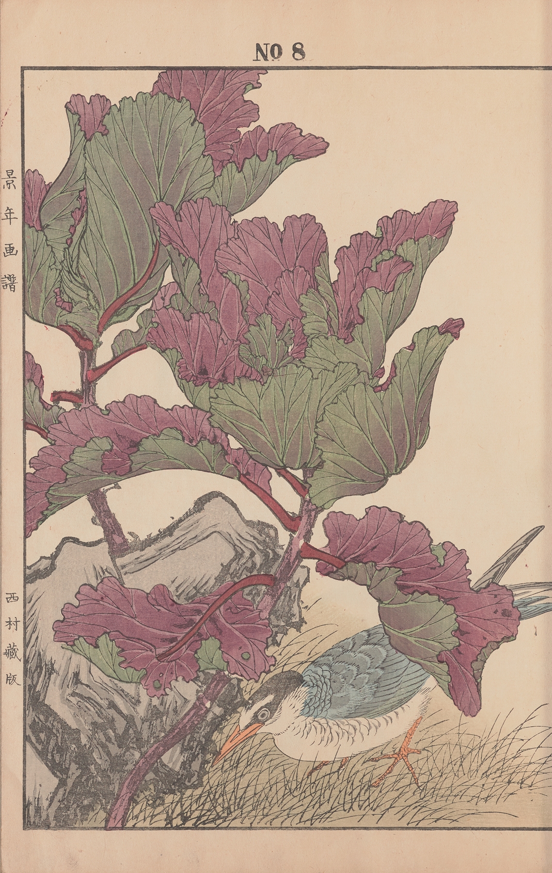 Keinen kachō gafu Pl.131 by Imao Keinen