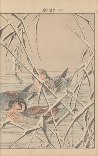 Keinen kachō gafu Pl.154 by Imao Keinen