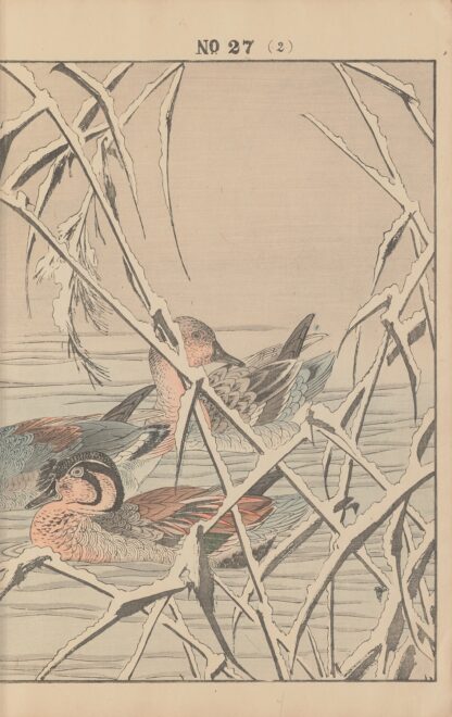 Keinen kachō gafu Pl.154 by Imao Keinen