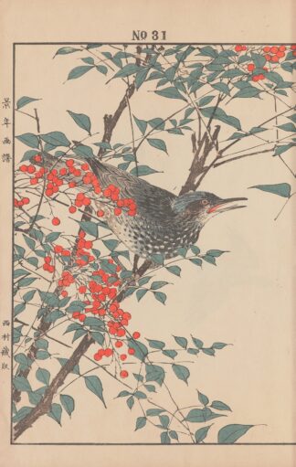 Keinen kachō gafu Pl.159 by Imao Keinen