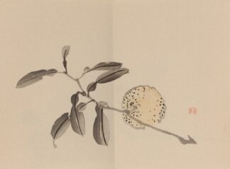 Keinen shūgajō Pl.09 by Imao Keinen
