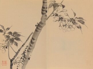Keinen shūgajō Pl.48 by Imao Keinen