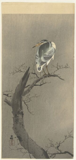 Kwak on branch by Ohara Koson