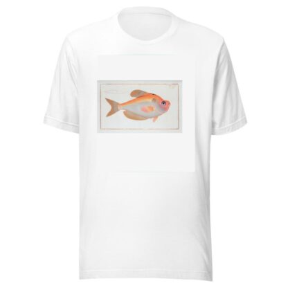 Kyrtus indicus. by Marcus Elieser Bloch T-Shirt