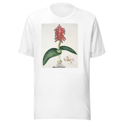 Lachenalia bulbifera by Robert Jacob Gordon T-Shirt