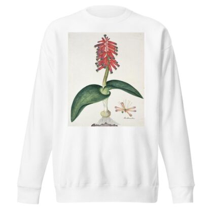 Lachenalia bulbifera by Robert Jacob Gordon Sweatshirt