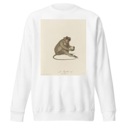 L’Aigrette by Jean-Baptiste Audebert Sweatshirt