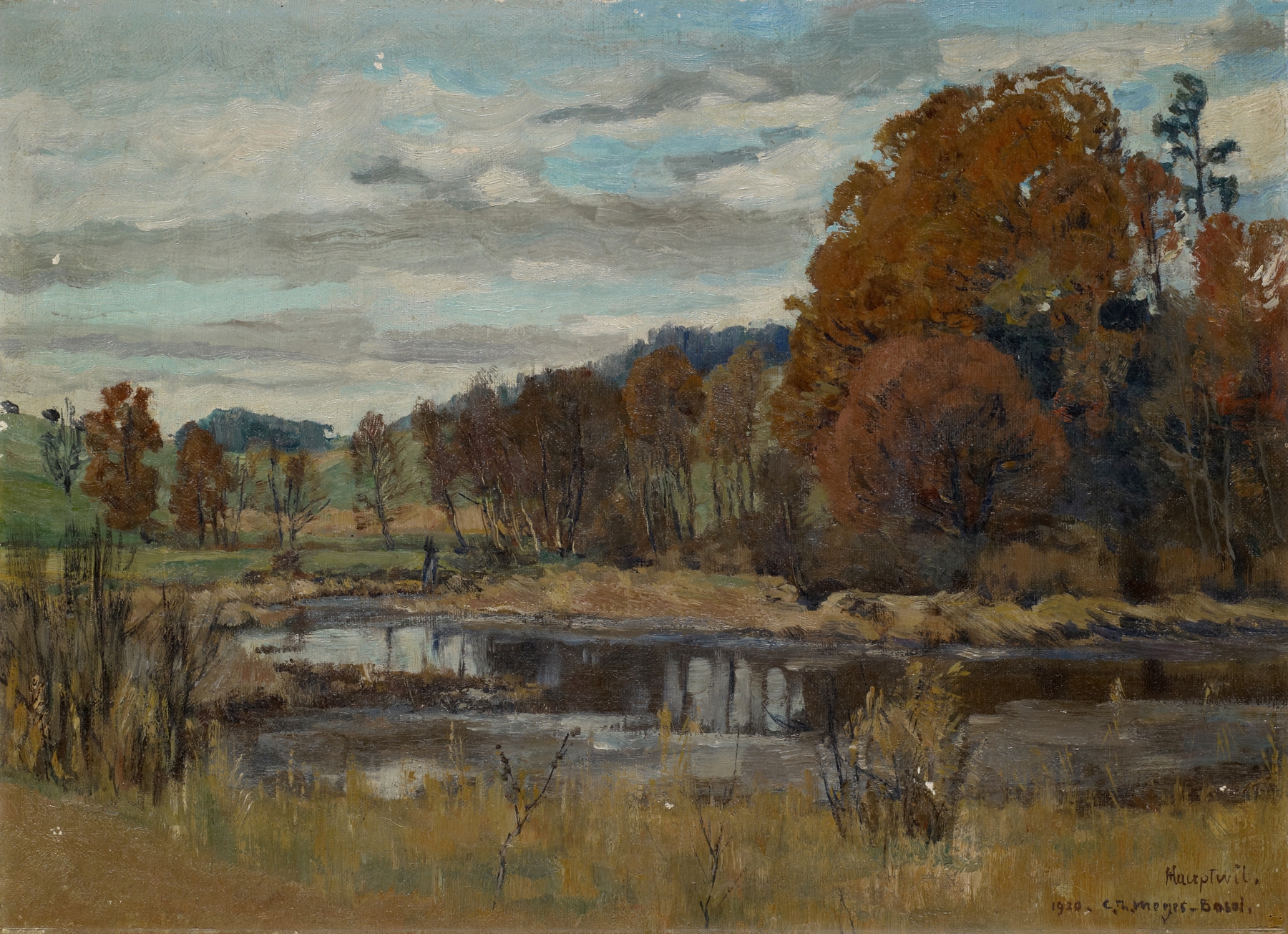 Landscape near Hauptwil by Carl Theodor Meyer-Basel