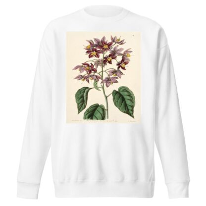 Large-anthered Bitter-sweet by Sydenham Edwards Sweatshirt