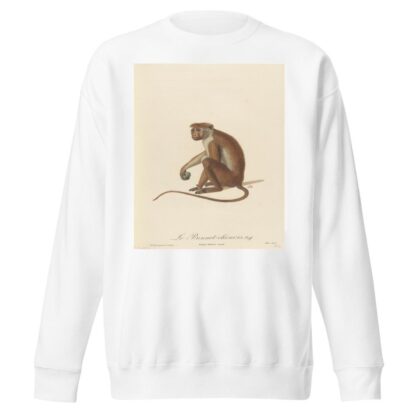 Le Bonnet Chinois by Jean-Baptiste Audebert Sweatshirt