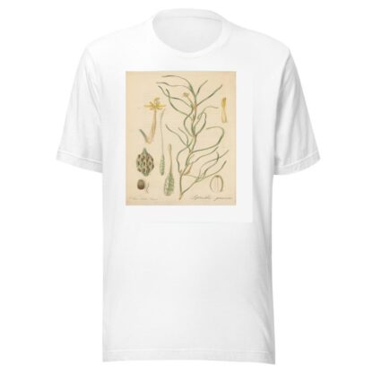 Leptanthus gramineus by William Jackson Hooker T-Shirt
