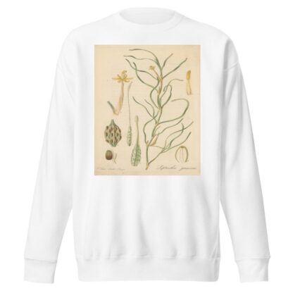 Leptanthus gramineus by William Jackson Hooker Sweatshirt