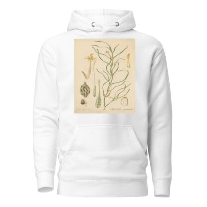 Leptanthus gramineus by William Jackson Hooker Hoodie