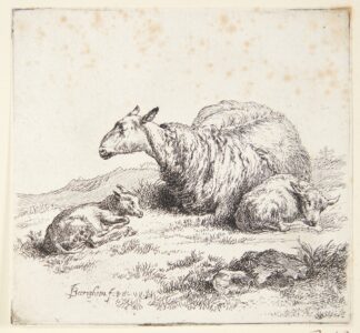 Liggende får med to lam by Nicolaes Pietersz. Berchem
