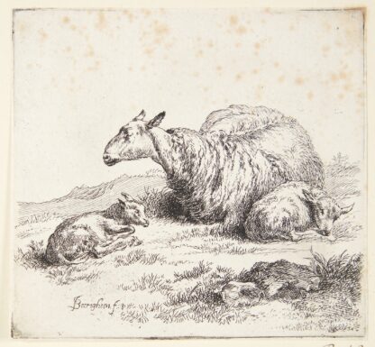 Liggende får med to lam by Nicolaes Pietersz. Berchem