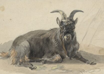 Liggende zwarte geitenbok by Jan van Ravenswaay
