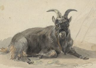 Liggende zwarte geitenbok by Jan van Ravenswaay