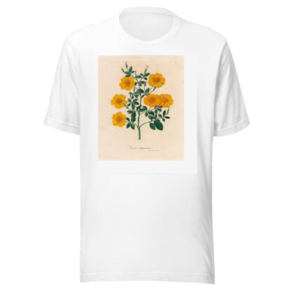 Linum trigynum by Gaetano Savi T-Shirt