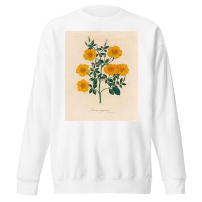 Linum trigynum by Gaetano Savi Sweatshirt