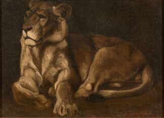 Lionne couchée by Auguste Lançon