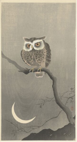 Long-eared owl on bare tree branch by Ohara Koson