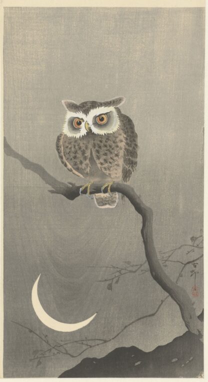 Long-eared owl on bare tree branch by Ohara Koson