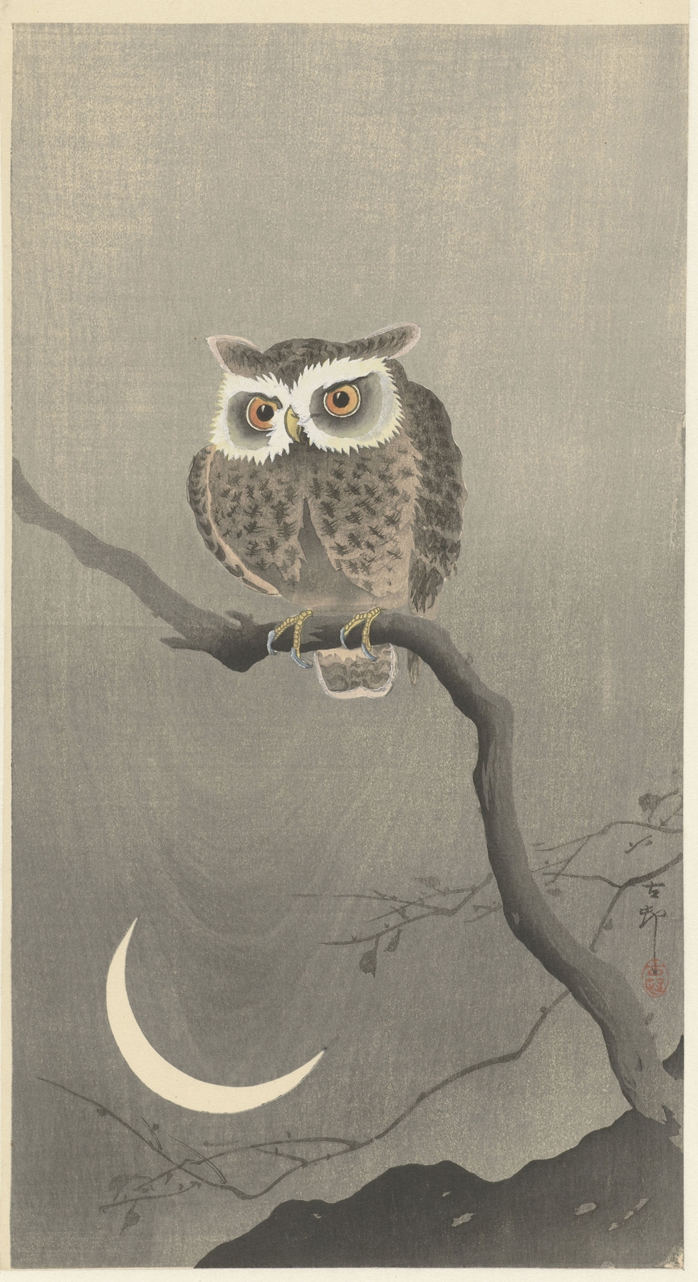 Long-eared owl on bare tree branch by Ohara Koson