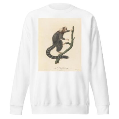 L’Ouistiti by Jean-Baptiste Audebert Sweatshirt