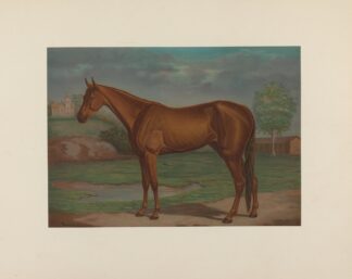 Maud S; The queen of the trotting turf by Maurice Scanlan