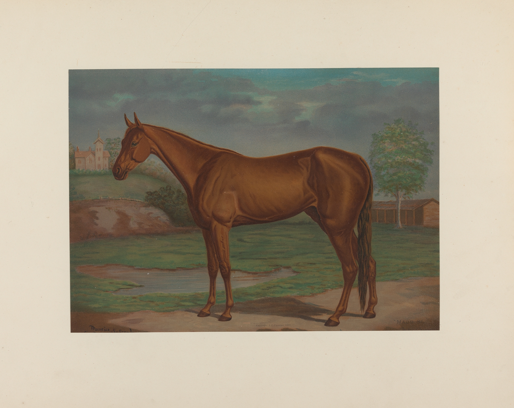 Maud S; The queen of the trotting turf by Maurice Scanlan