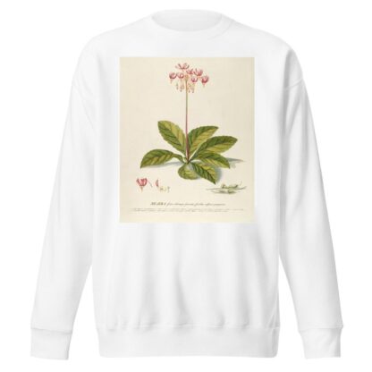 Meadia by Georg Dionysius Ehret Sweatshirt