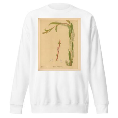 Medicinal Plants Pl.059 by Charles Frederick Millspaugh Sweatshirt