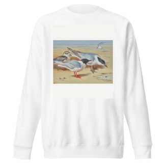 Mediterranean gull and juvenile with sandwich terns on a beach by Archibald Thorburn Sweatshirt