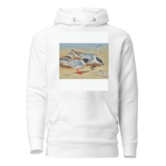 Mediterranean gull and juvenile with sandwich terns on a beach by Archibald Thorburn Hoodie