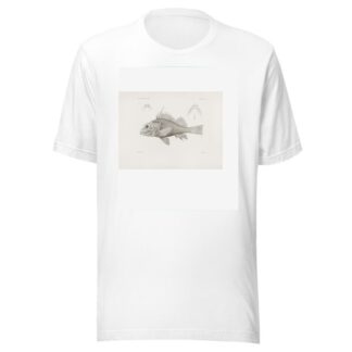Memoirs of the Museum of Comparative Zoology at Harvard College Pl.07 by Harvard University. Museum of Comparative Zoology T-Shirt