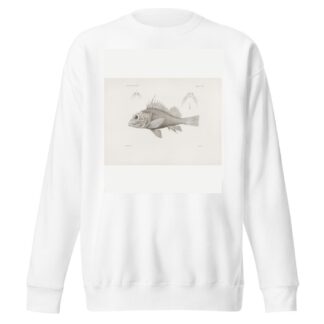 Memoirs of the Museum of Comparative Zoology at Harvard College Pl.07 by Harvard University. Museum of Comparative Zoology Sweatshirt