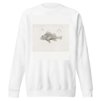 Memoirs of the Museum of Comparative Zoology at Harvard College Pl.07 by Harvard University. Museum of Comparative Zoology Sweatshirt