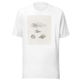 Memoirs of the Museum of Comparative Zoology at Harvard College Pl.09 by Harvard University. Museum of Comparative Zoology T-Shirt