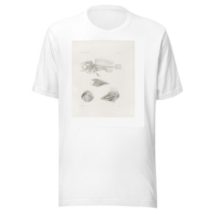 Memoirs of the Museum of Comparative Zoology at Harvard College Pl.09 by Harvard University. Museum of Comparative Zoology T-Shirt