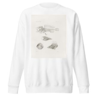 Memoirs of the Museum of Comparative Zoology at Harvard College Pl.09 by Harvard University. Museum of Comparative Zoology Sweatshirt
