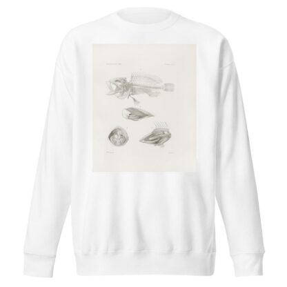 Memoirs of the Museum of Comparative Zoology at Harvard College Pl.09 by Harvard University. Museum of Comparative Zoology Sweatshirt