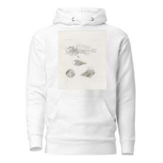 Memoirs of the Museum of Comparative Zoology at Harvard College Pl.09 by Harvard University. Museum of Comparative Zoology Hoodie