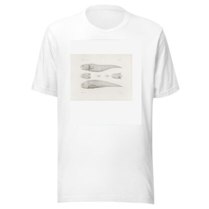 Memoirs of the Museum of Comparative Zoology at Harvard College Pl.40 by Harvard University. Museum of Comparative Zoology T-Shirt